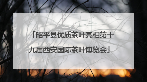 昭平县优质茶叶亮相第十九届西安国际茶叶博览会