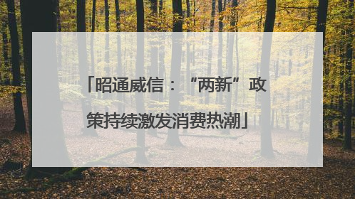 昭通威信：“两新”政策持续激发消费热潮