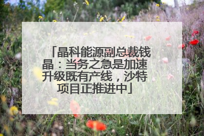 晶科能源副总裁钱晶：当务之急是加速升级既有产线，沙特项目正推进中
