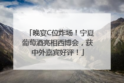 晚宴C位炸场！宁夏葡萄酒亮相西博会，获中外嘉宾好评！