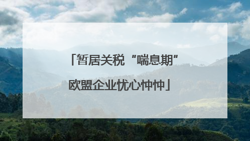 暂居关税“喘息期” 欧盟企业忧心忡忡
