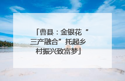 曹县：金银花“三产融合”托起乡村振兴致富梦