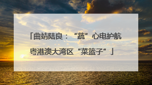曲靖陆良：“蔬”心电护航粤港澳大湾区“菜篮子”