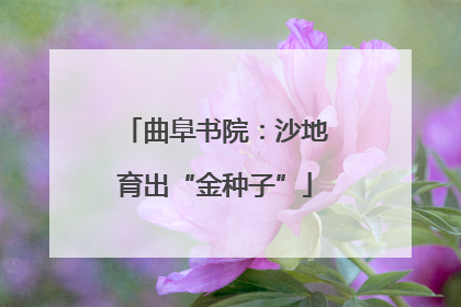 曲阜书院：沙地育出“金种子”