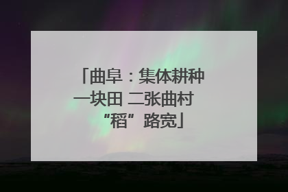 曲阜：集体耕种一块田 二张曲村“稻”路宽