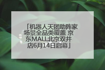 机器人天团助阵家场景全品类覆盖 京东MALL北京双井店6月14日启幕