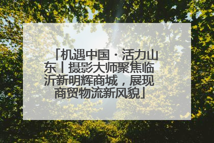 机遇中国・活力山东丨摄影大师聚焦临沂新明辉商城，展现商贸物流新风貌