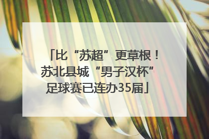 比“苏超”更草根！苏北县城“男子汉杯”足球赛已连办35届