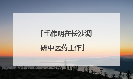 毛伟明在长沙调研中医药工作