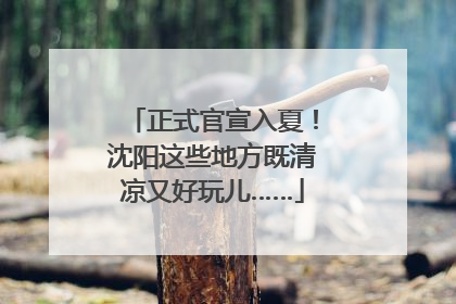 正式官宣入夏！沈阳这些地方既清凉又好玩儿……