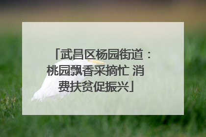 武昌区杨园街道：桃园飘香采摘忙 消费扶贫促振兴
