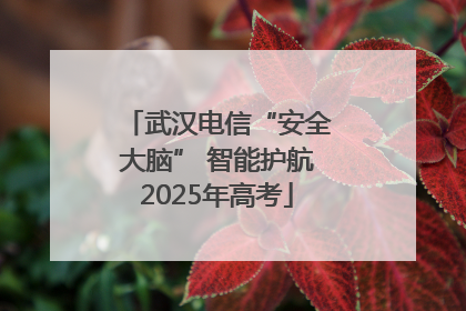 武汉电信“安全大脑” 智能护航2025年高考