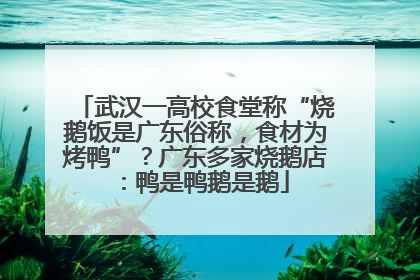 武汉一高校食堂称“烧鹅饭是广东俗称，食材为烤鸭”？广东多家烧鹅店：鸭是鸭鹅是鹅