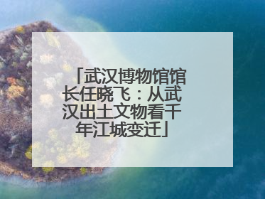 武汉博物馆馆长任晓飞：从武汉出土文物看千年江城变迁