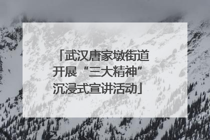 武汉唐家墩街道开展“三大精神”沉浸式宣讲活动