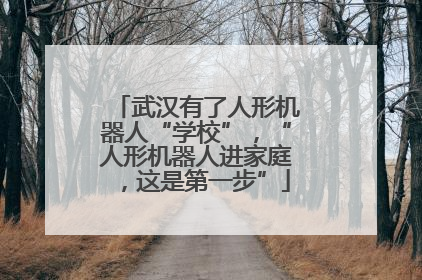 武汉有了人形机器人“学校”，“人形机器人进家庭，这是第一步”
