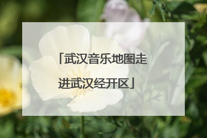 武汉音乐地图走进武汉经开区