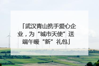武汉青山携手爱心企业，为“城市天使”送端午暖“新”礼包