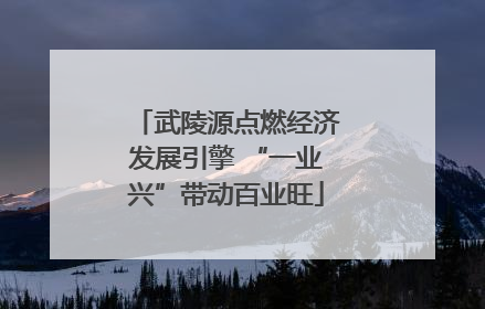 武陵源点燃经济发展引擎 “一业兴”带动百业旺