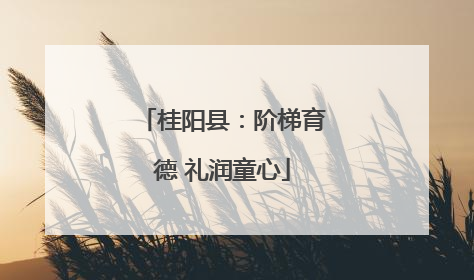 桂阳县：阶梯育德 礼润童心