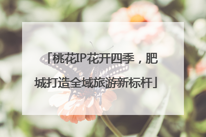 桃花IP花开四季，肥城打造全域旅游新标杆