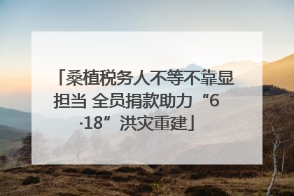 桑植税务人不等不靠显担当 全员捐款助力“6·18”洪灾重建