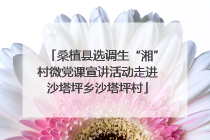 桑植县选调生“湘”村微党课宣讲活动走进沙塔坪乡沙塔坪村