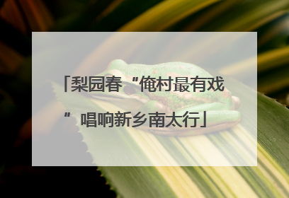 梨园春“俺村最有戏”唱响新乡南太行