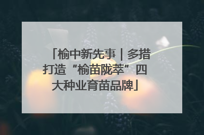 榆中新先事｜多措打造“榆苗陇萃”四大种业育苗品牌