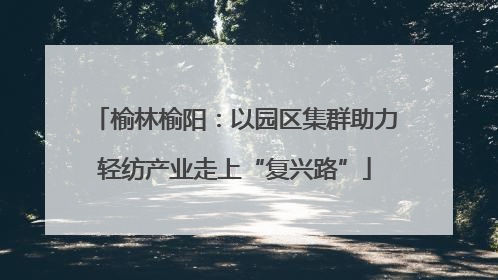 榆林榆阳：以园区集群助力轻纺产业走上“复兴路”