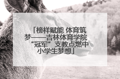 榜样赋能 体育筑梦——吉林体育学院“冠军”支教点燃中小学生梦想