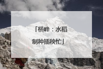 横峰：水稻制种插秧忙