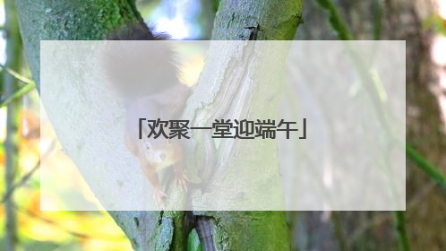 欢聚一堂迎端午