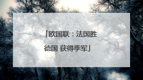 欧国联：法国胜德国 获得季军