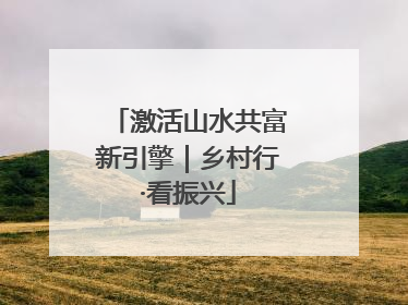 激活山水共富新引擎｜乡村行·看振兴