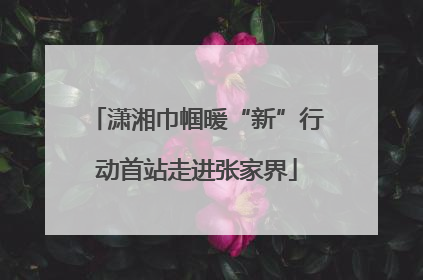 潇湘巾帼暖“新”行动首站走进张家界
