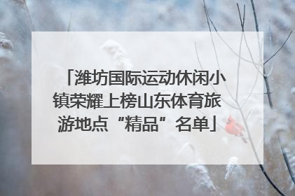 潍坊国际运动休闲小镇荣耀上榜山东体育旅游地点“精品”名单