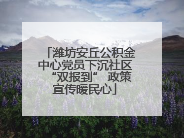 潍坊安丘公积金中心党员下沉社区“双报到” 政策宣传暖民心