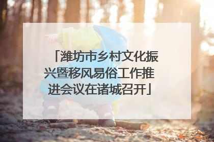 潍坊市乡村文化振兴暨移风易俗工作推进会议在诸城召开