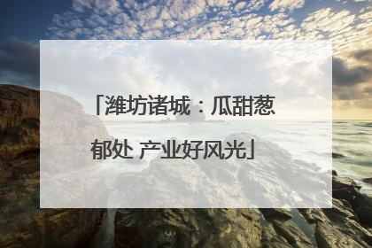 潍坊诸城：瓜甜葱郁处 产业好风光
