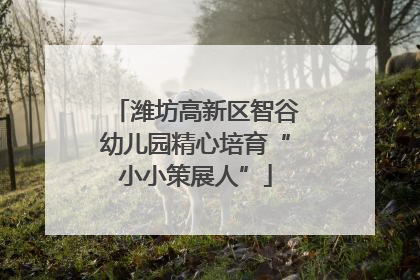 潍坊高新区智谷幼儿园精心培育“小小策展人”