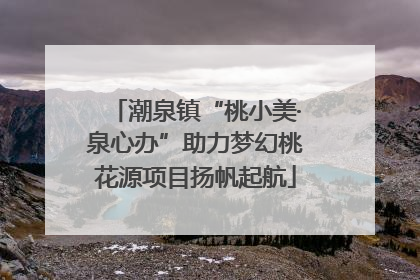 潮泉镇“桃小美·泉心办”助力梦幻桃花源项目扬帆起航