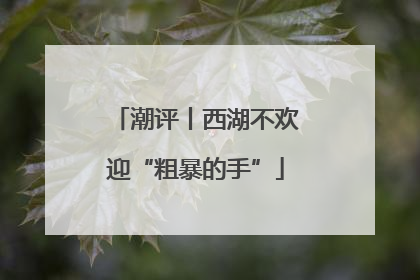 潮评丨西湖不欢迎“粗暴的手”