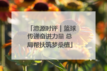 澧源时评｜篮球传递奋进力量 总局帮扶筑梦桑植