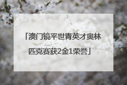 澳门镜平世青英才奥林匹克赛获2金1荣誉