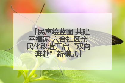民声绘蓝图 共建幸福家 六合社区亲民化改造开启“双向奔赴”新模式