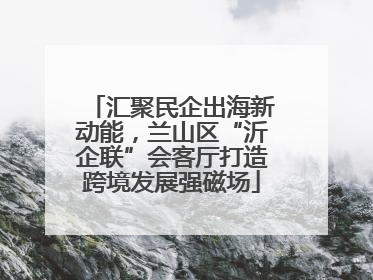 汇聚民企出海新动能，兰山区“沂企联”会客厅打造跨境发展强磁场