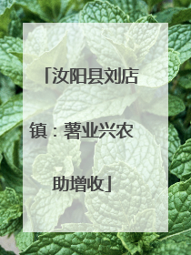 汝阳县刘店镇：薯业兴农助增收