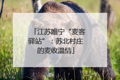 江苏睢宁“麦客驿站”：苏北村庄的麦收温情