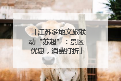 江苏多地文旅联动“苏超”：景区优惠，消费打折